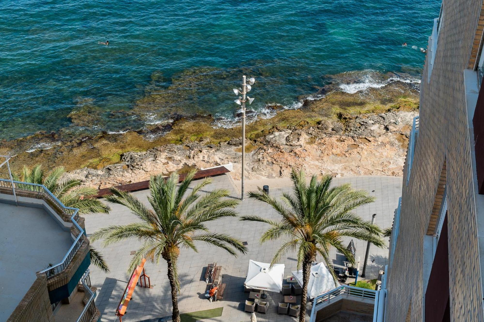 La Paz Apartman Torrevieja Kültér fotó